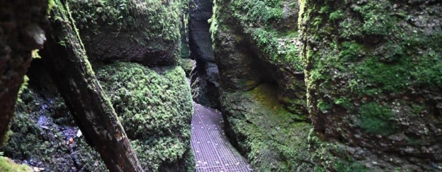 Drachenschlucht Eisenach: Ein Weg zwischen Fels und Wasser